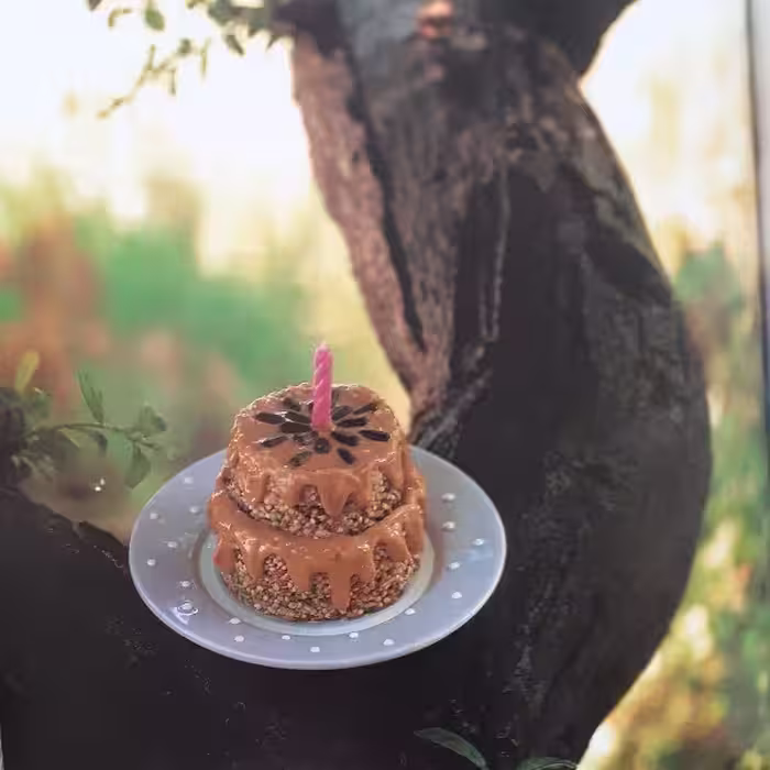 كتاب The Secret Life of Food اثر Clare Crespo انتشارات Hyperion