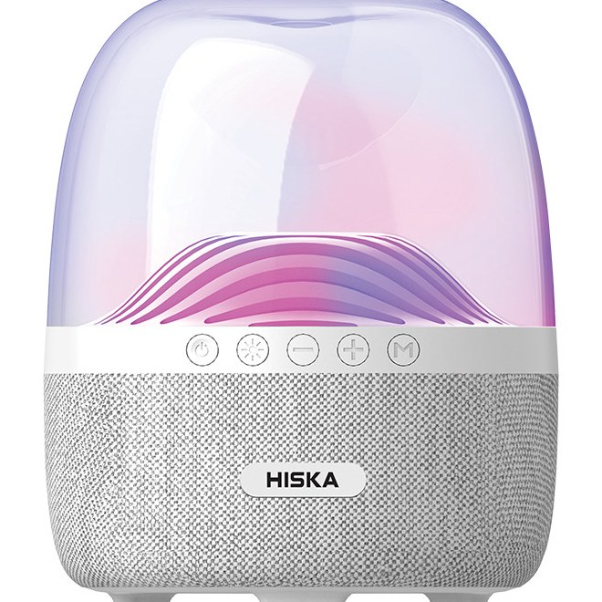 اسپیکر بلوتوثی قابل حمل هیسکا مدل B57