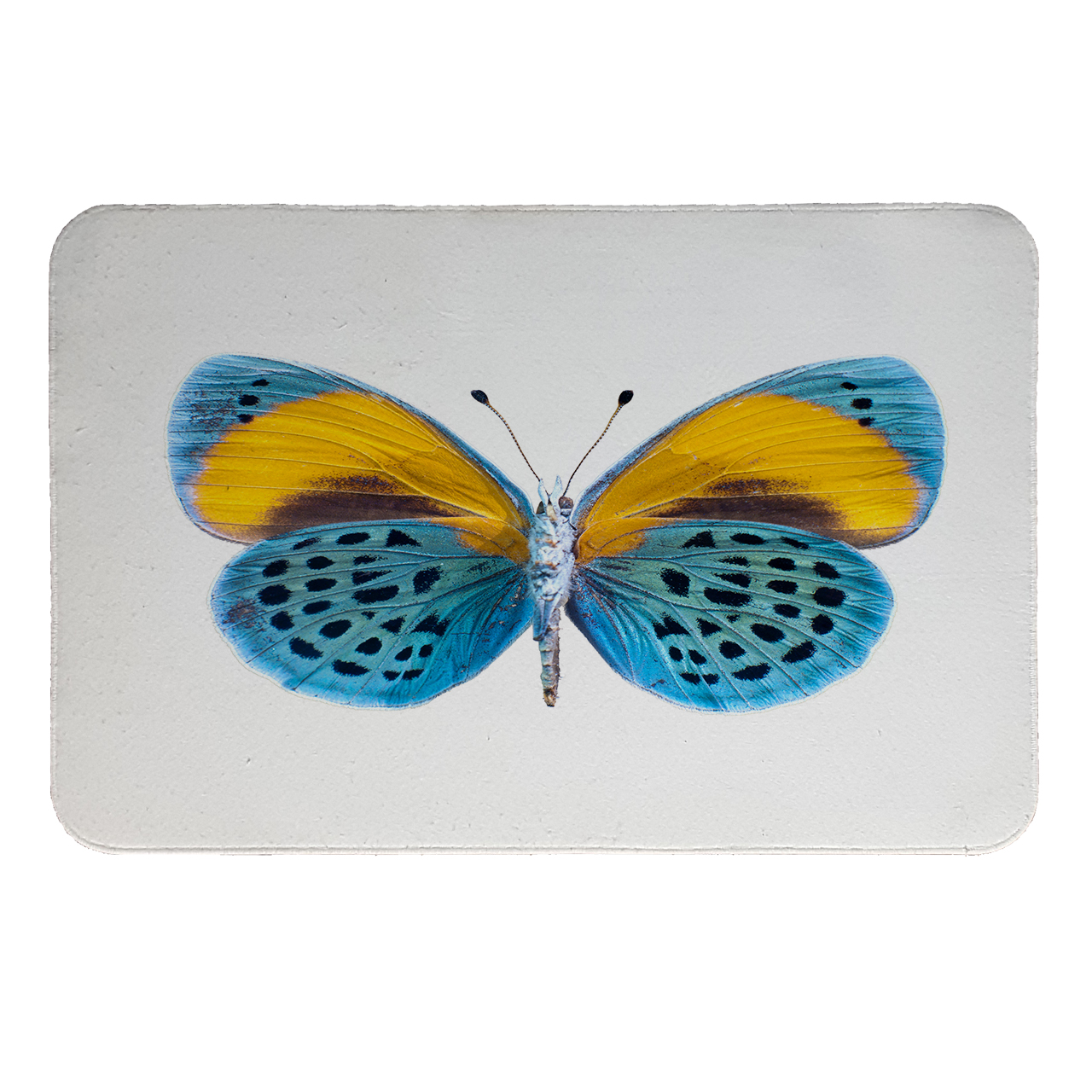  آبگیر  کنار سینک کد 9017