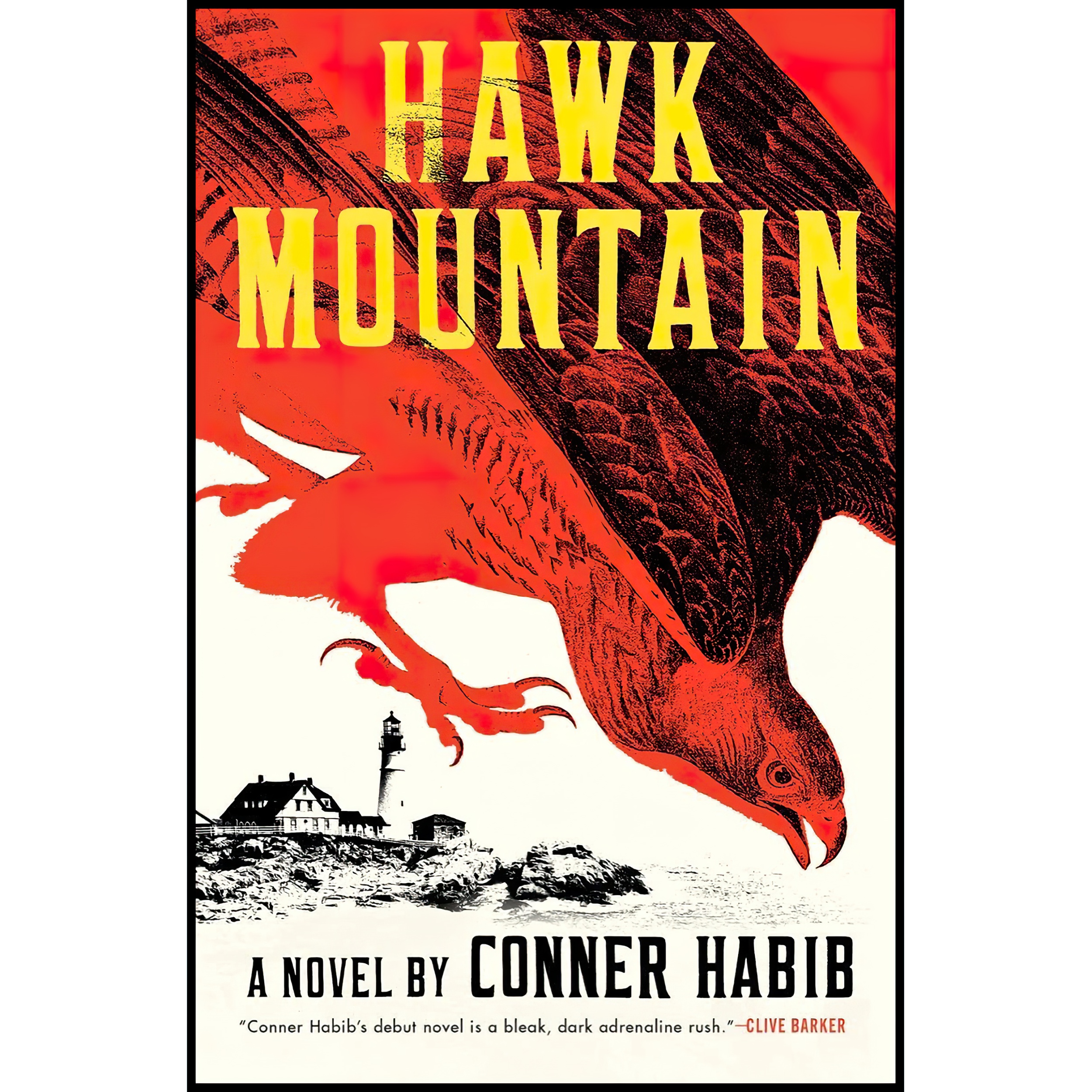 کتاب Hawk Mountain اثر Conner Habib انتشارات W W Norton & Company