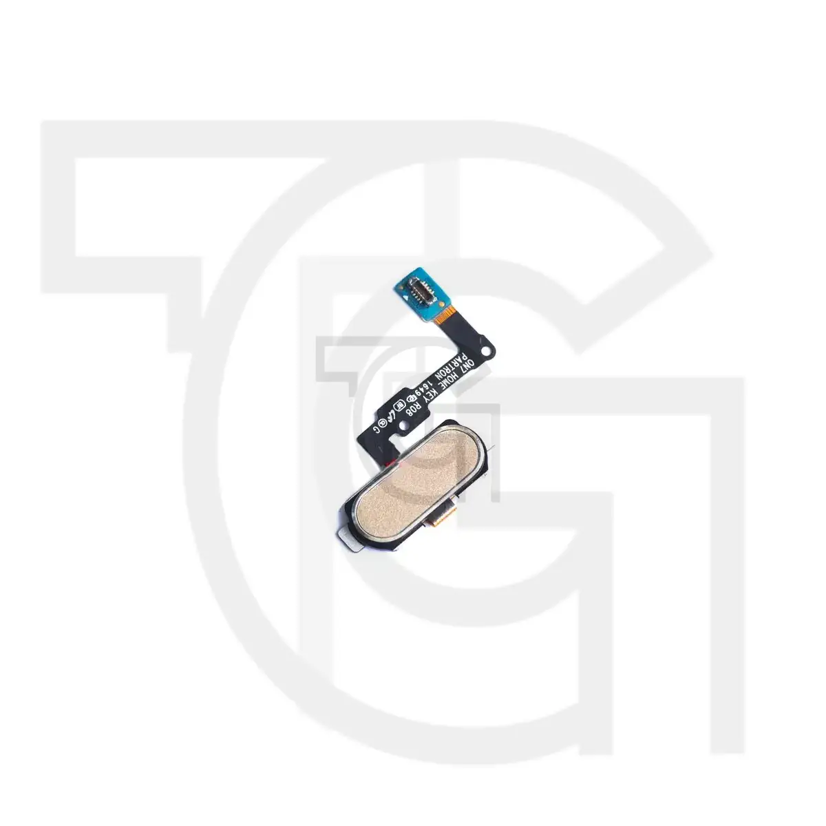 فلت اثرانگشت سامسونگ (گلد) Flat Fingerprint Samsung Galaxy G570