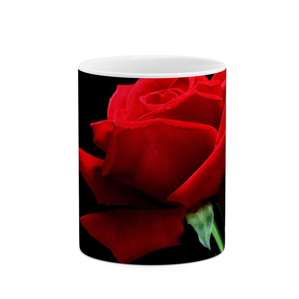 ماگ طرح گل رز مدل mgs12041