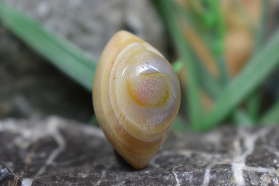 عقیق باباقوری