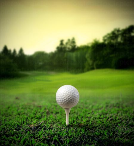 خرید و دانلود عکس Golf club and ball on green grass کد 24563 | پیک فاکس | Pic Fox