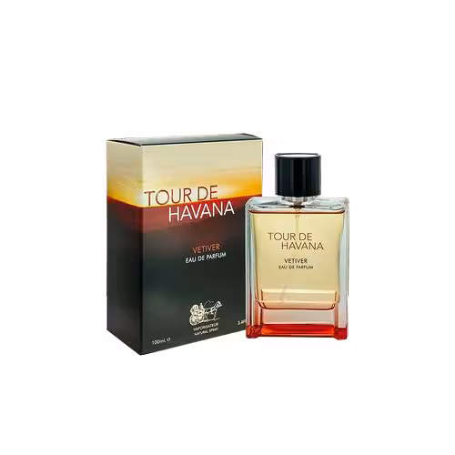 عطر ادکلن مردانه تق هرمس او اینتنس وتیور فراگرنس ورد تور د هاوانا وتیور ادو پارفوم (FRAGRANCE WORLD Terre D'Hermes Eau Intense Vetiver)