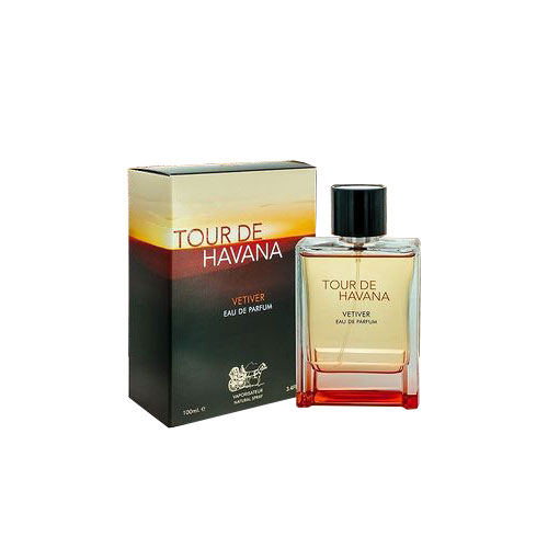 عطر ادکلن مردانه تق هرمس او اینتنس وتیور فراگرنس ورد تور د هاوانا وتیور ادو پارفوم (FRAGRANCE WORLD Terre D'Hermes Eau Intense Vetiver)