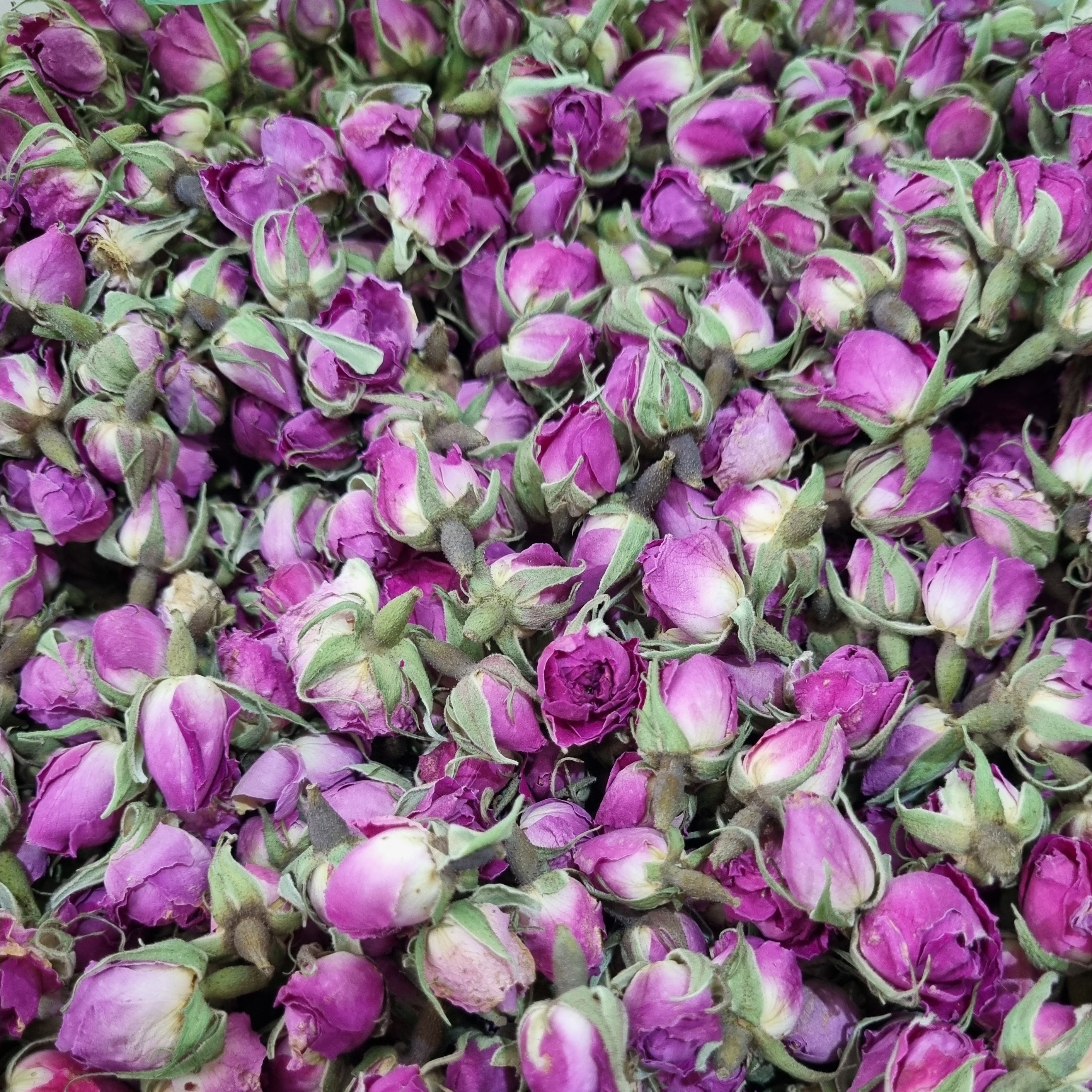 غنچه گل محمدی 250 گرمی