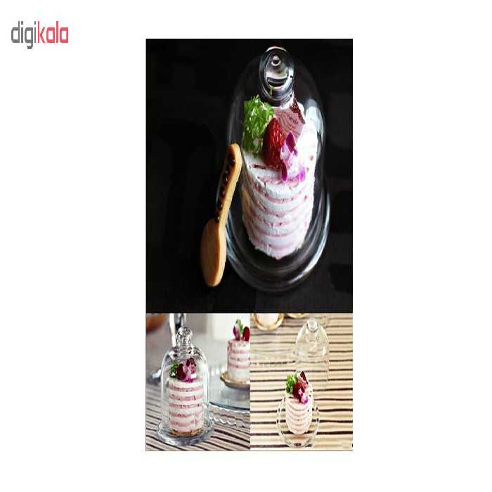 ظرف سرو پاشاباغچه مدل Mackenzy