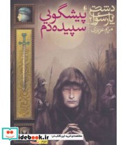 قیمت و خرید کتاب دشت پارسوا 2 اثر مریم عزیزی | ایده بوک
