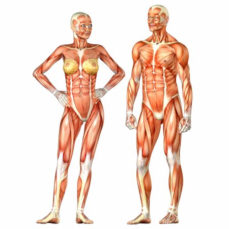 خرید و دانلود عکس IranBCS کد 27562 | پیک فاکس | Pic Fox