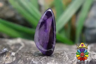 امتیست تراپیچ