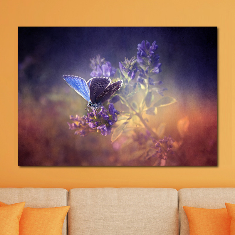 تابلو شاسی مدل پروانه | دنیای قاب