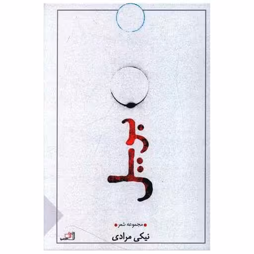 کتاب بریل اثر نیکی مرادی