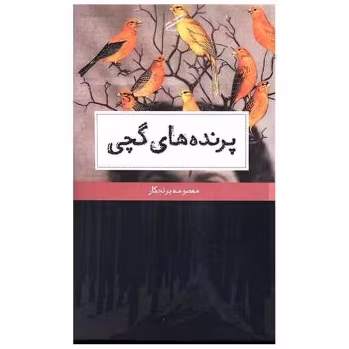 کتاب پرنده های گچی اثر معصومه برنجکار