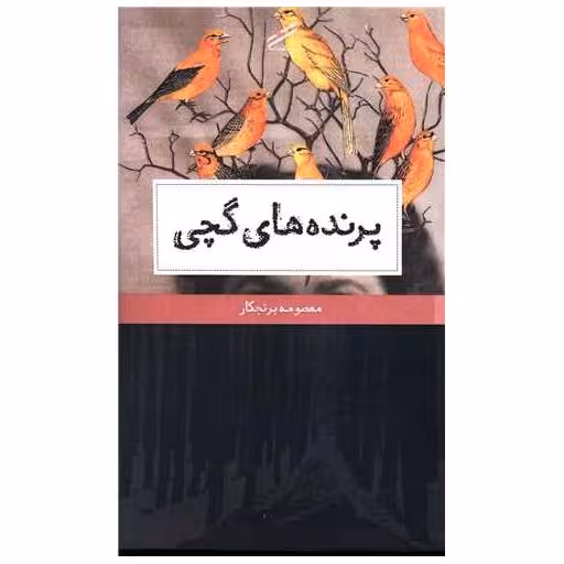 کتاب پرنده های گچی اثر معصومه برنجکار