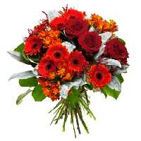 خرید و دانلود عکس Flower-Part-2 کد 17760 | پیک فاکس | Pic Fox