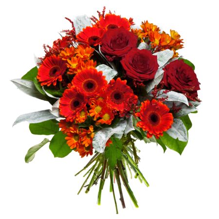 خرید و دانلود عکس Flower-Part-2 کد 17760 | پیک فاکس | Pic Fox