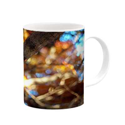 ماگ کاکتی طرح پاییز مدل mgh19328