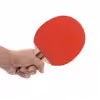 راکت پینگ پنگ دونیک مدل 930 بسته ۲ عددی به همراه توپ