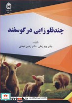 قیمت و خرید کتاب چندقلوزایی در گوسفند اثر دکتر پویا زمانی و دکتر رامین عبدلی | ایده بوک