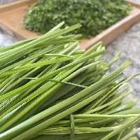 تره  خشک سبز اعلا خانگی   نیم کیلویی درجه 1