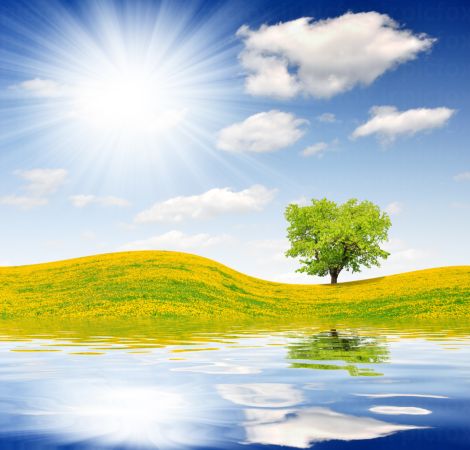 خرید و دانلود عکس IranBCS کد 30832 | پیک فاکس | Pic Fox