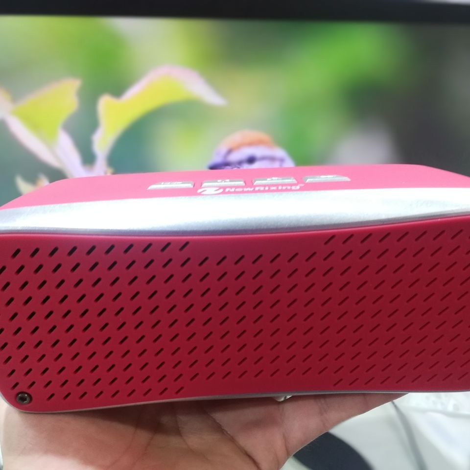 اسپیکر شارژی نیورکسینگ نیوریکسینگ 2033 اورجینال