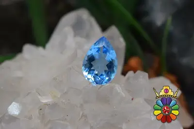 بلوتوپاز سوئیس