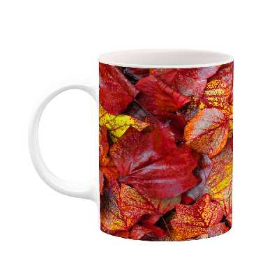 ماگ کاکتی طرح برگ مدل mgs15346