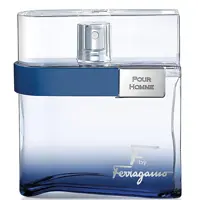 ادو تویلت مردانه سالواتوره فراگامو F By Ferragamo Free Time حجم 100ml