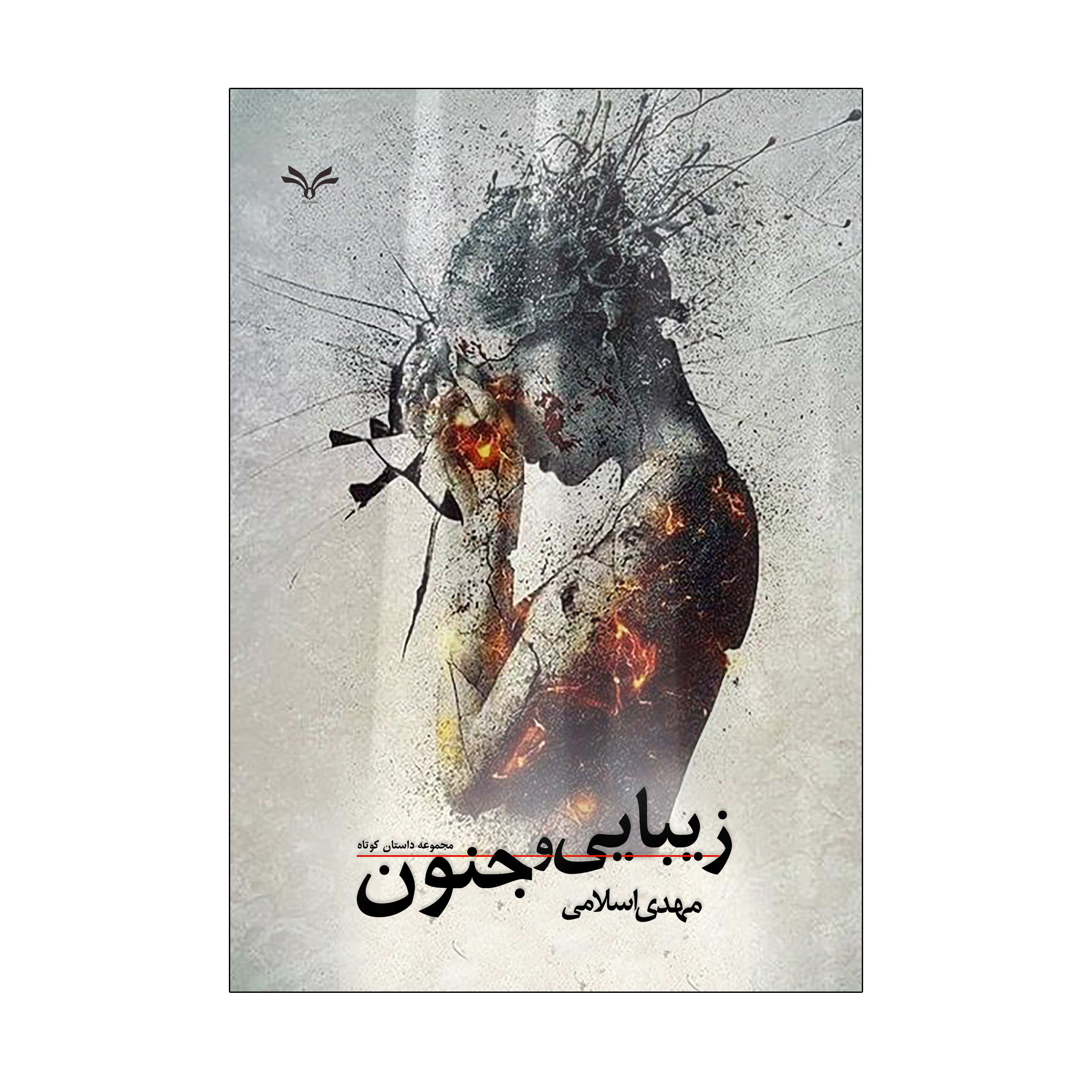 کتاب زیبایی و جنون اثر مهدی اسلامی انتشارات نامه مهر