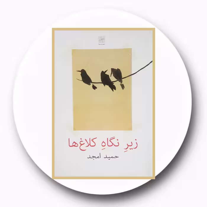 کتاب زیر نگاه کلاغ ها - خرید با تخفیف چهل درصد از کتاب دایره قهوه ای -