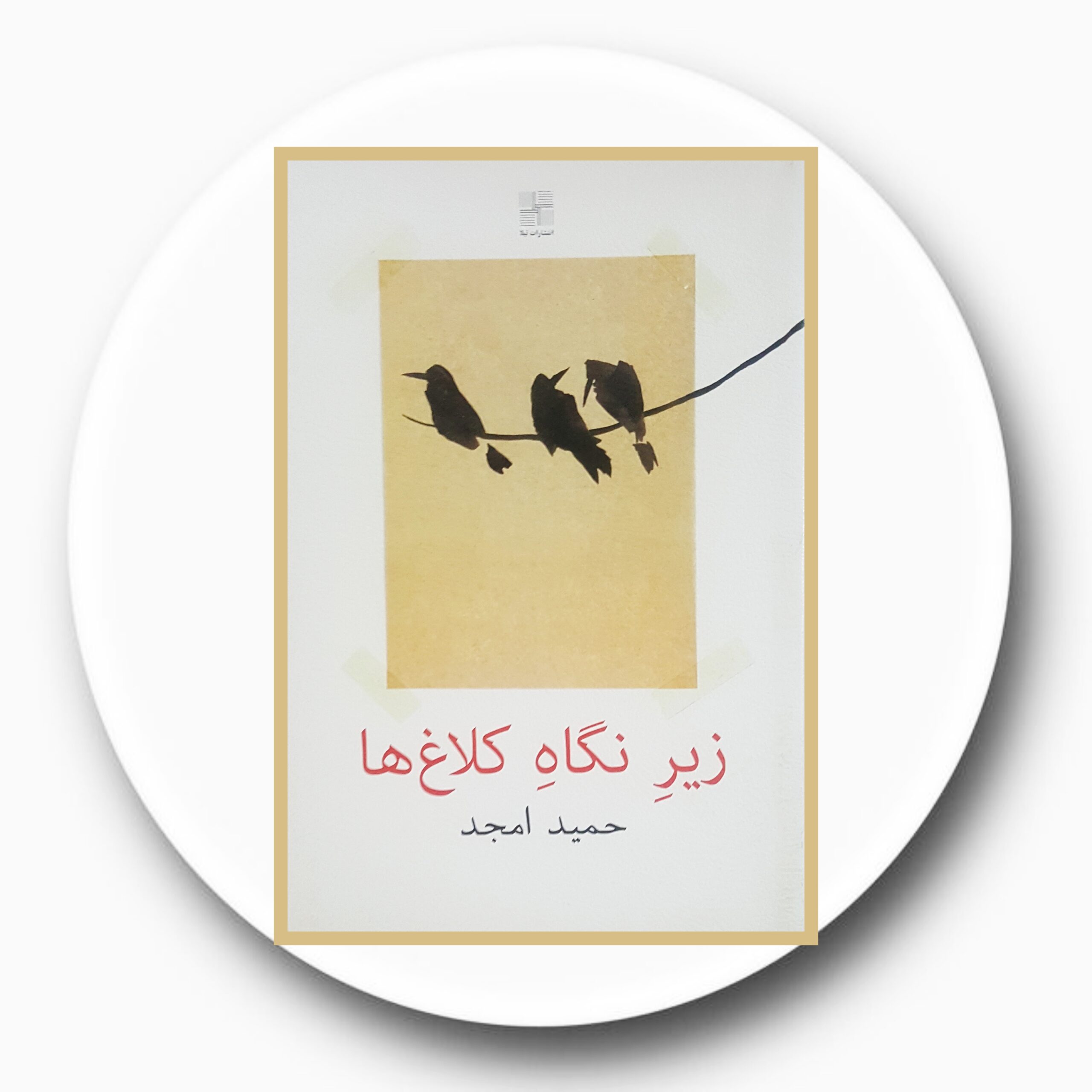 کتاب زیر نگاه کلاغ ها - خرید با تخفیف چهل درصد از کتاب دایره قهوه ای -