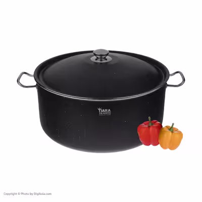 قابلمه تیارا مدل TR-44PTG سایز 44