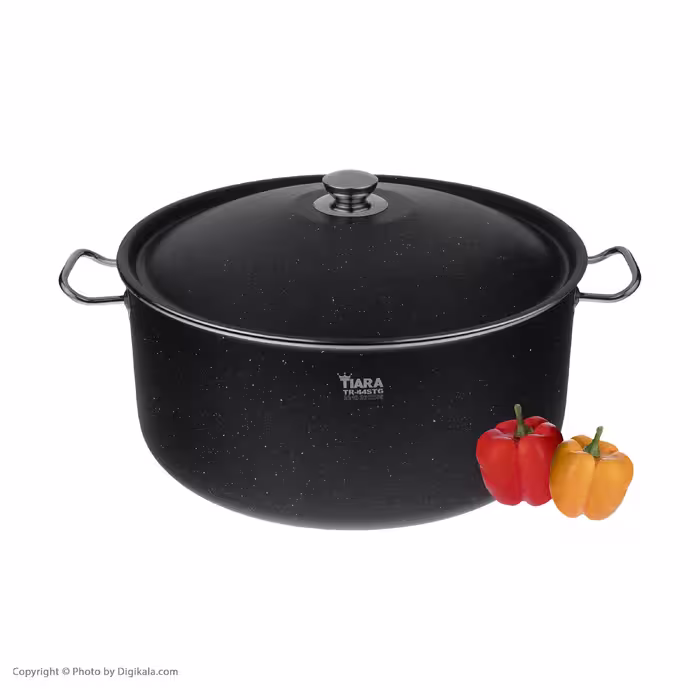 قابلمه تیارا مدل TR-44PTG سایز 44
