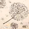 ملحفه آدنو مدل Dandelion کد IR119 دونفره سایز 160x200 سانتی متر