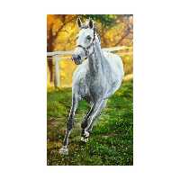 تابلو نقاشی رنگ روغن مدل اسب