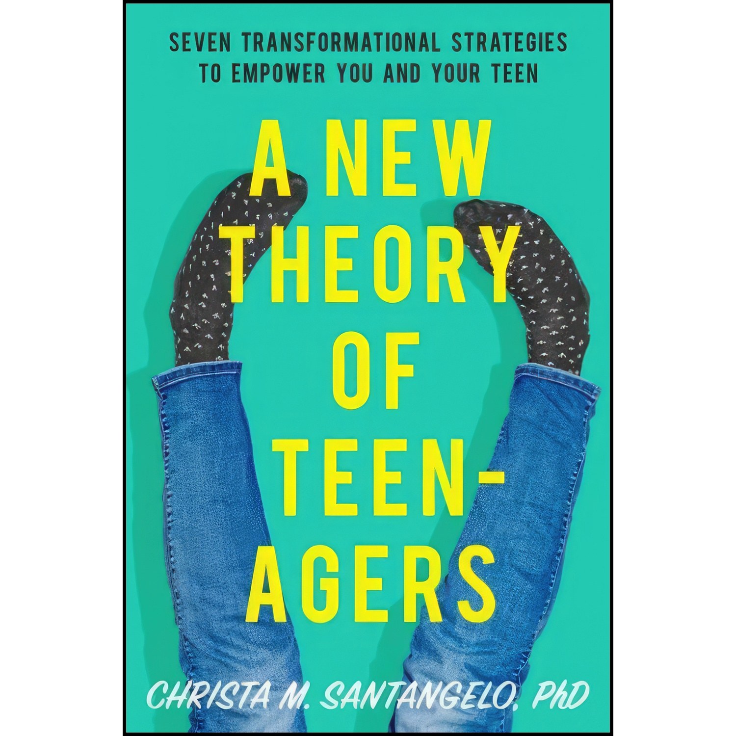 کتاب زبان اصلی A New Theory of Teenagers اثر Christa Santangelo