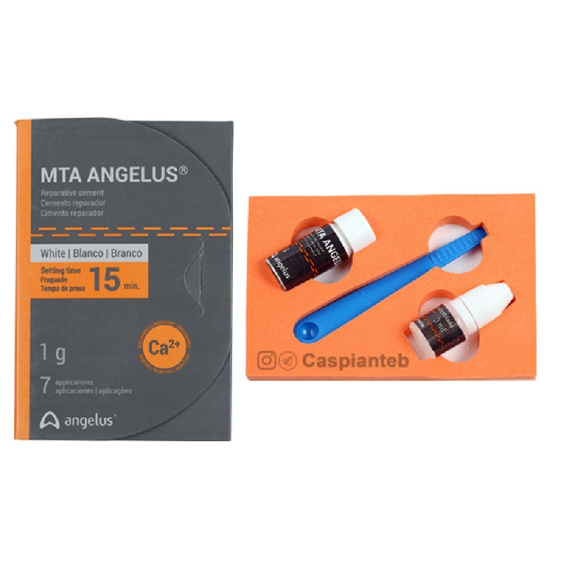 آنجلوس Angelus MTA - فروشگاه اینترنتی مواد و تجهیزات دندانپزشکی