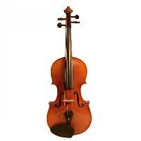 ویلن تی اف مدل Coreli