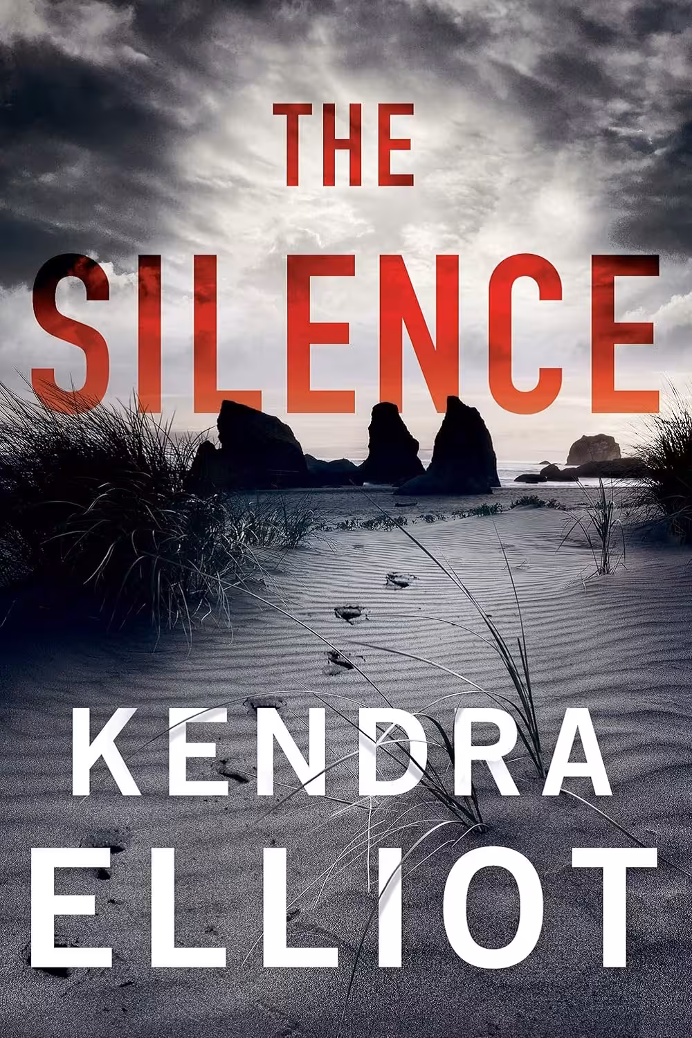 The Silence (Columbia River Book 2)