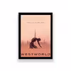 تابلو طرح فیلم west world 
