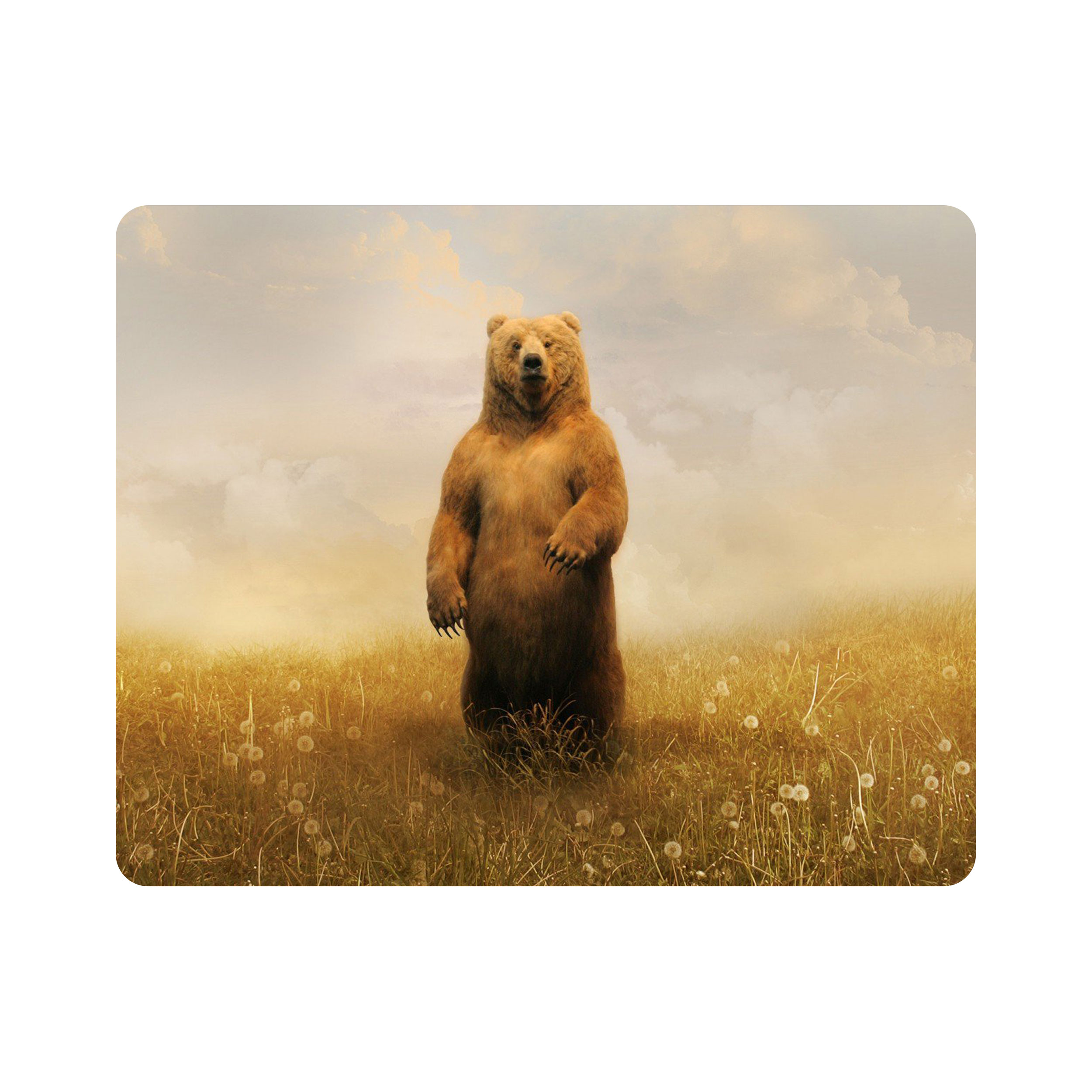 ماوس پد اطلس آبی طرح منظره و خرس مدل T1466