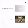 برچسب پوششی ماهوت مدل Dog-2 مناسب برای تبلت اپل iPad 9.7 (GEN 5) 2017 A1823