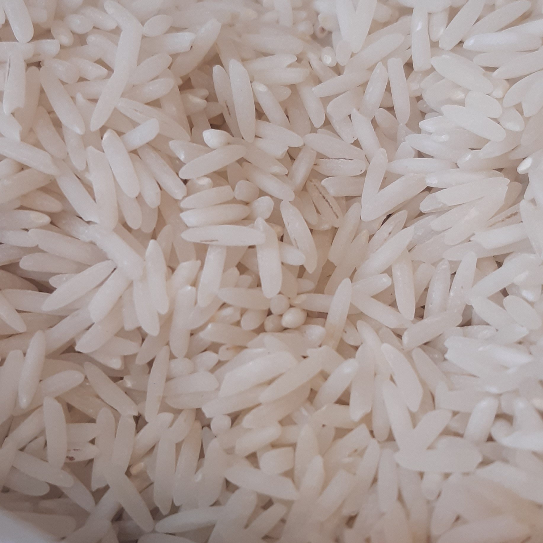 برنج هاشمی گیلان پس کرایه امسال 10کیلویی