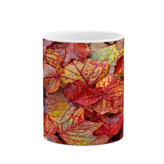 ماگ کاکتی طرح برگ مدل mgs15346