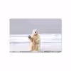 برچسب پوششی ماهوت مدل Polar bear مناسب برای تبلت سامسونگ Galaxy Tab S3 9.7 2017 T825