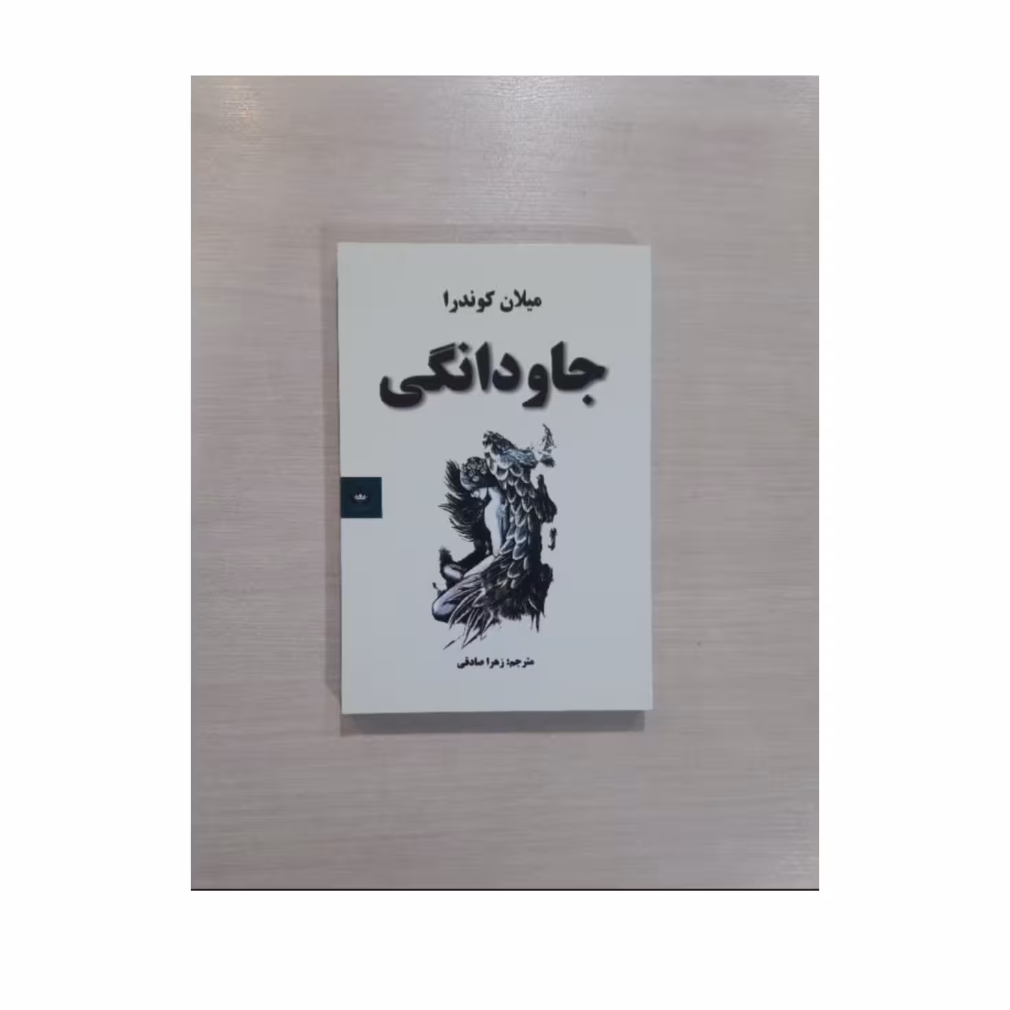 کتاب جاودانگی اثر  میلان کوندرا ترجمه زهرا صادقی انتشارات شاهدخت پاییز 