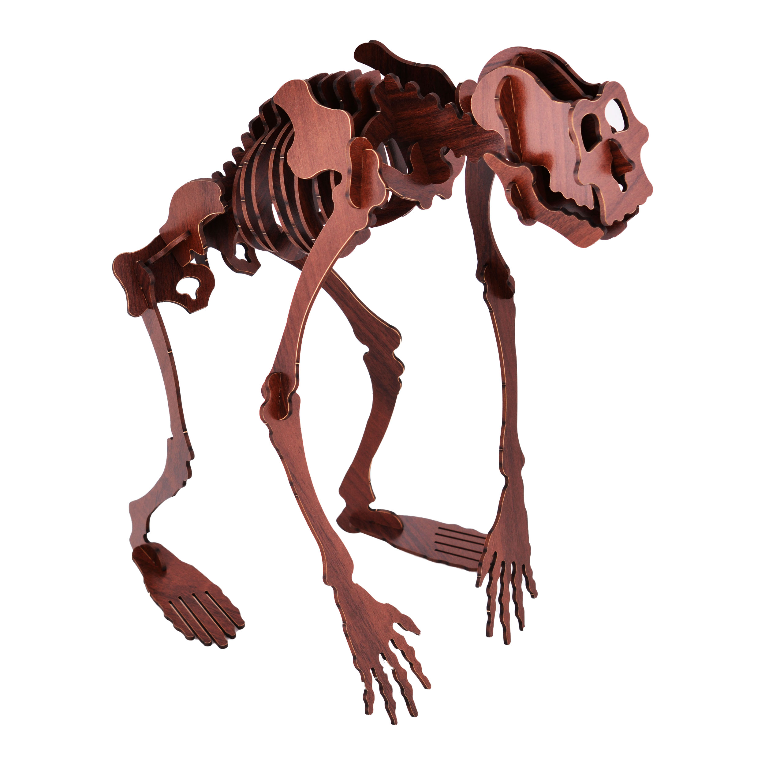 ساختنی آبان مدل پاگنده کد Pz2010017