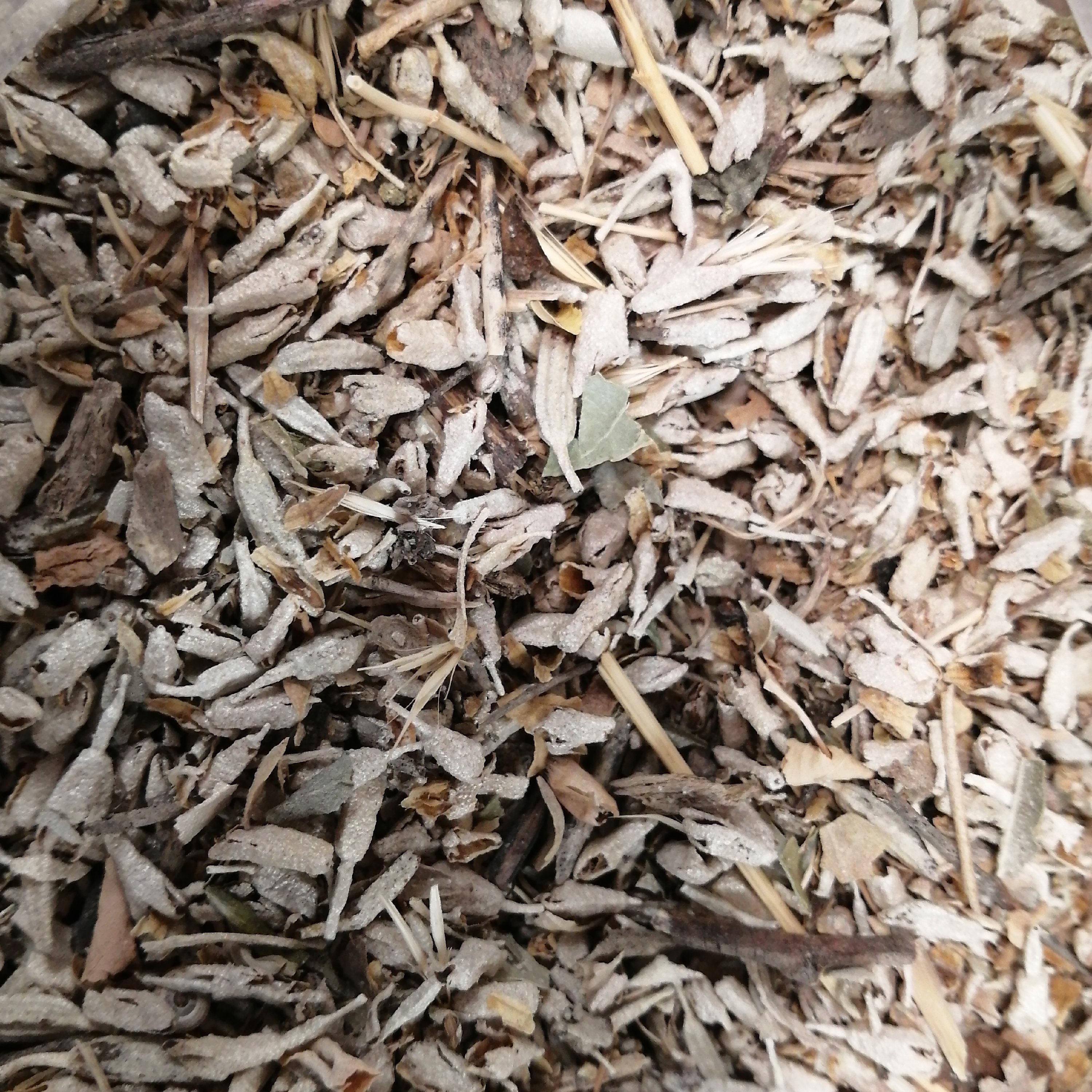 گل سنجد 75 گرم